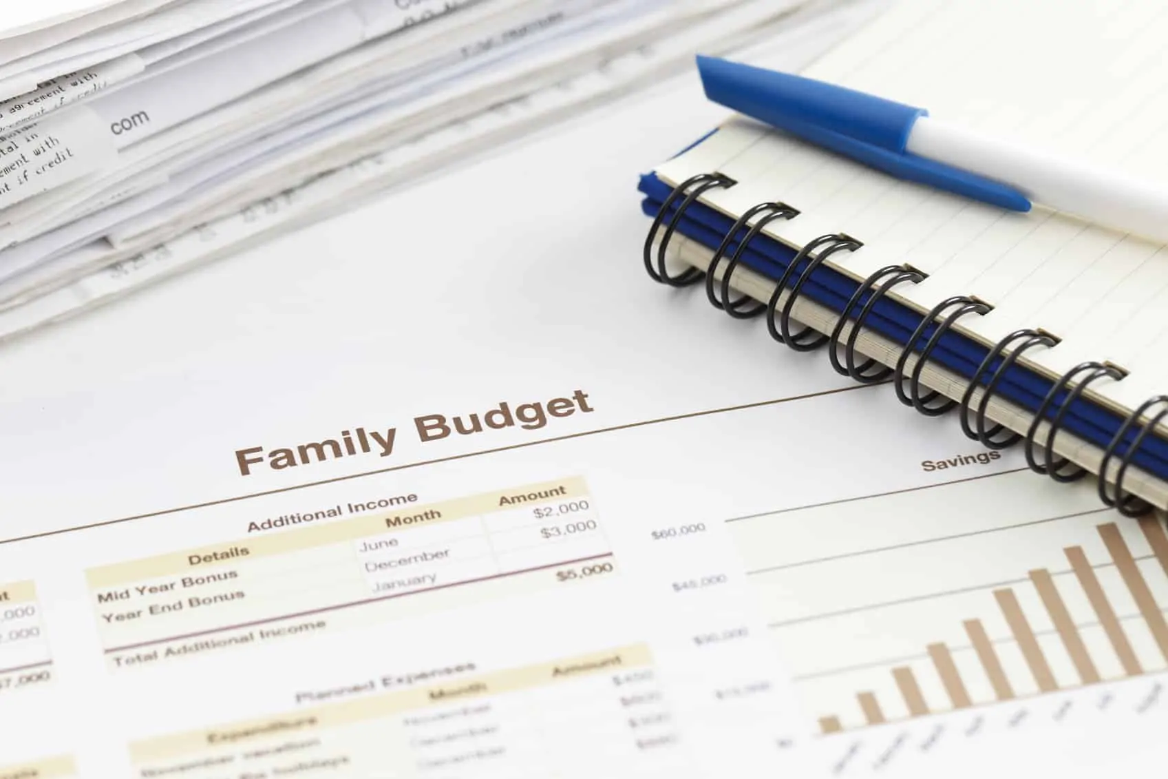 Family Budget